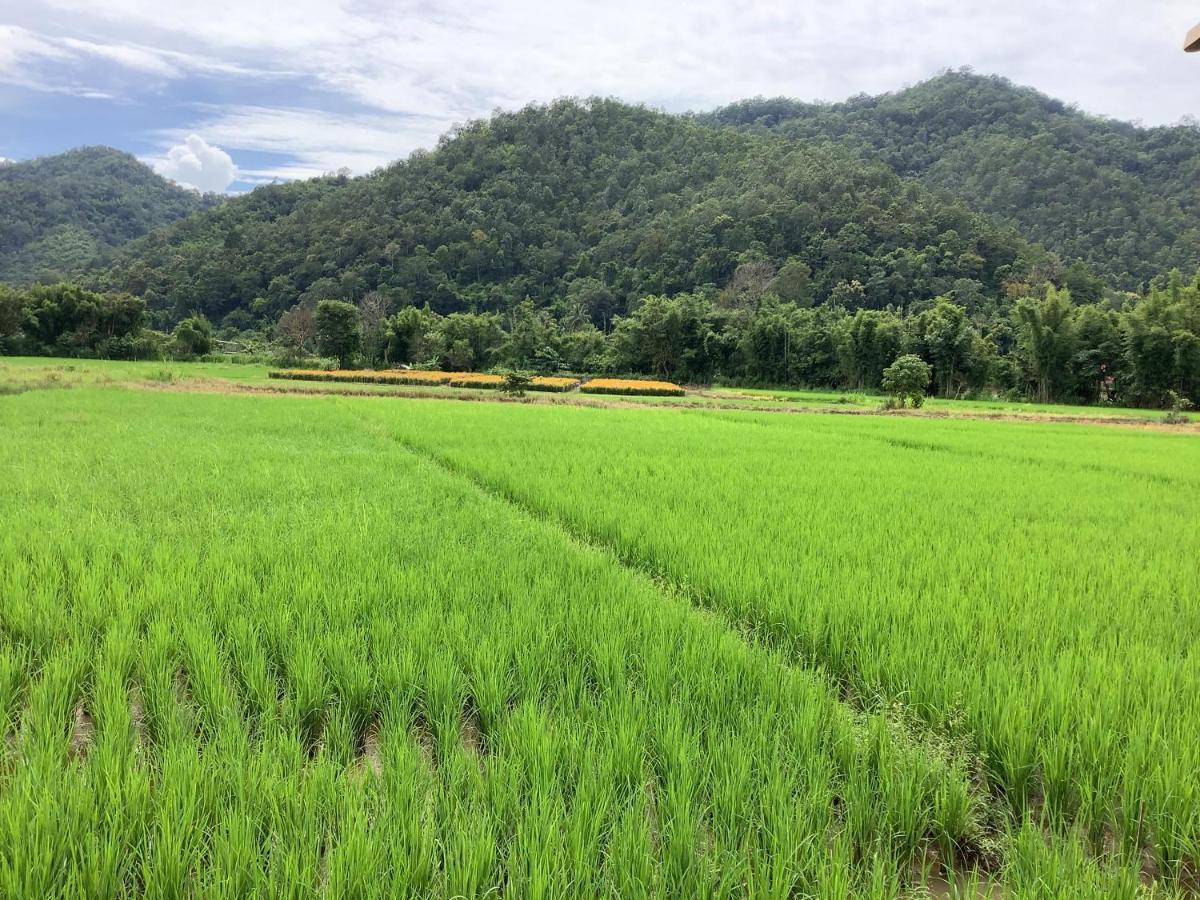 บ้านสวนวิวทุ่ง Ban Mae Sap Nua Экстерьер фото