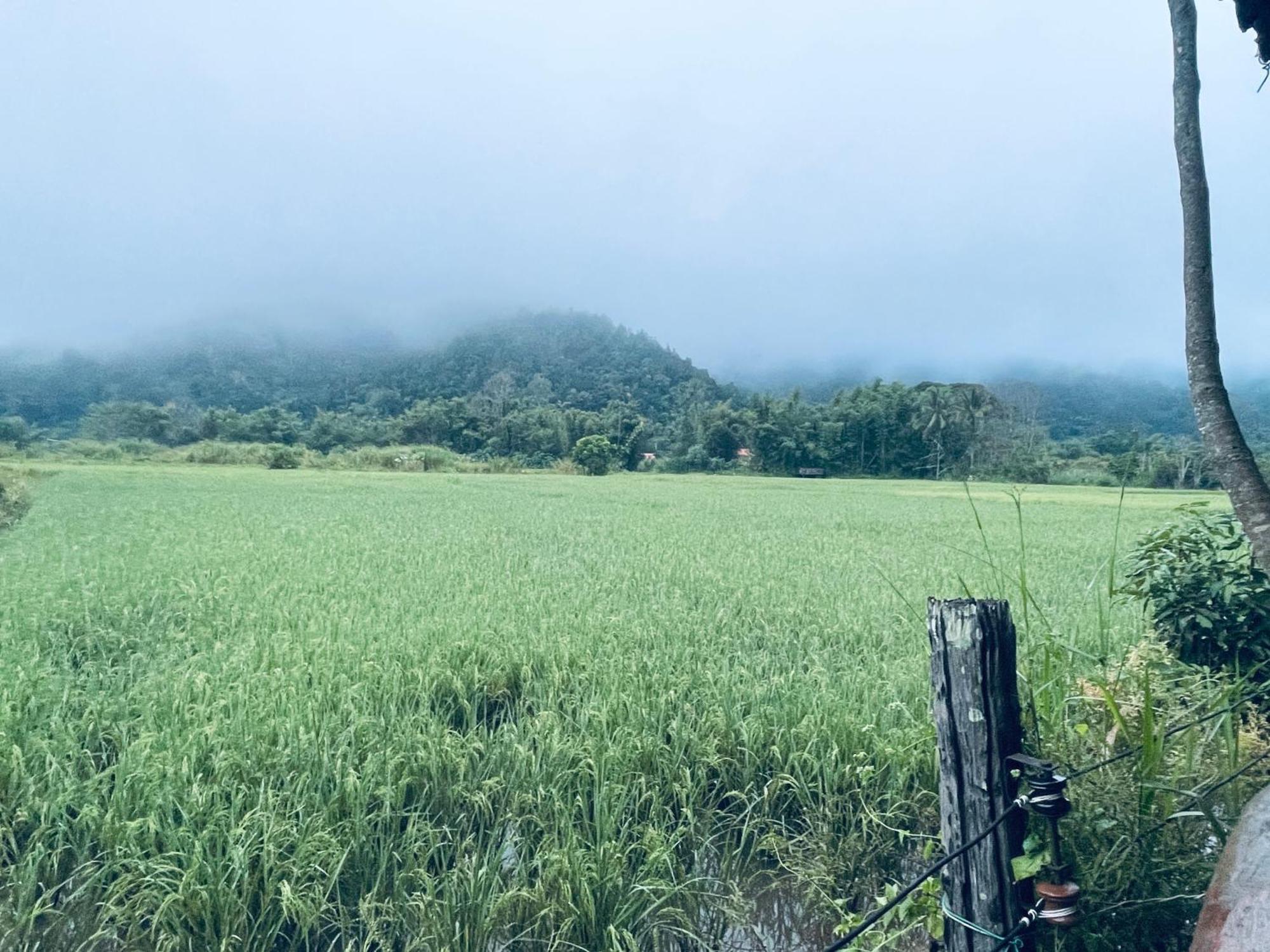 บ้านสวนวิวทุ่ง Ban Mae Sap Nua Экстерьер фото