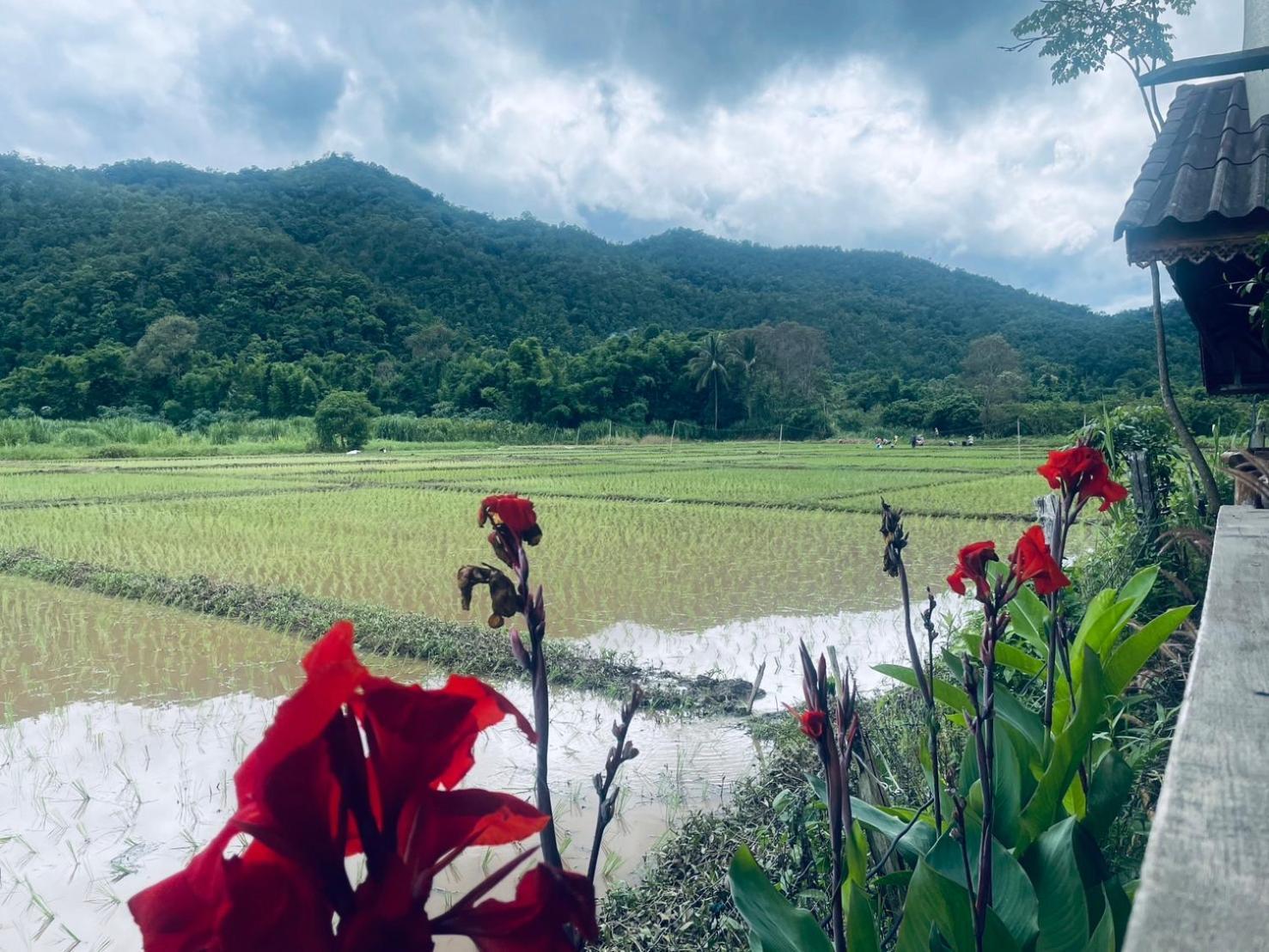 บ้านสวนวิวทุ่ง Ban Mae Sap Nua Экстерьер фото