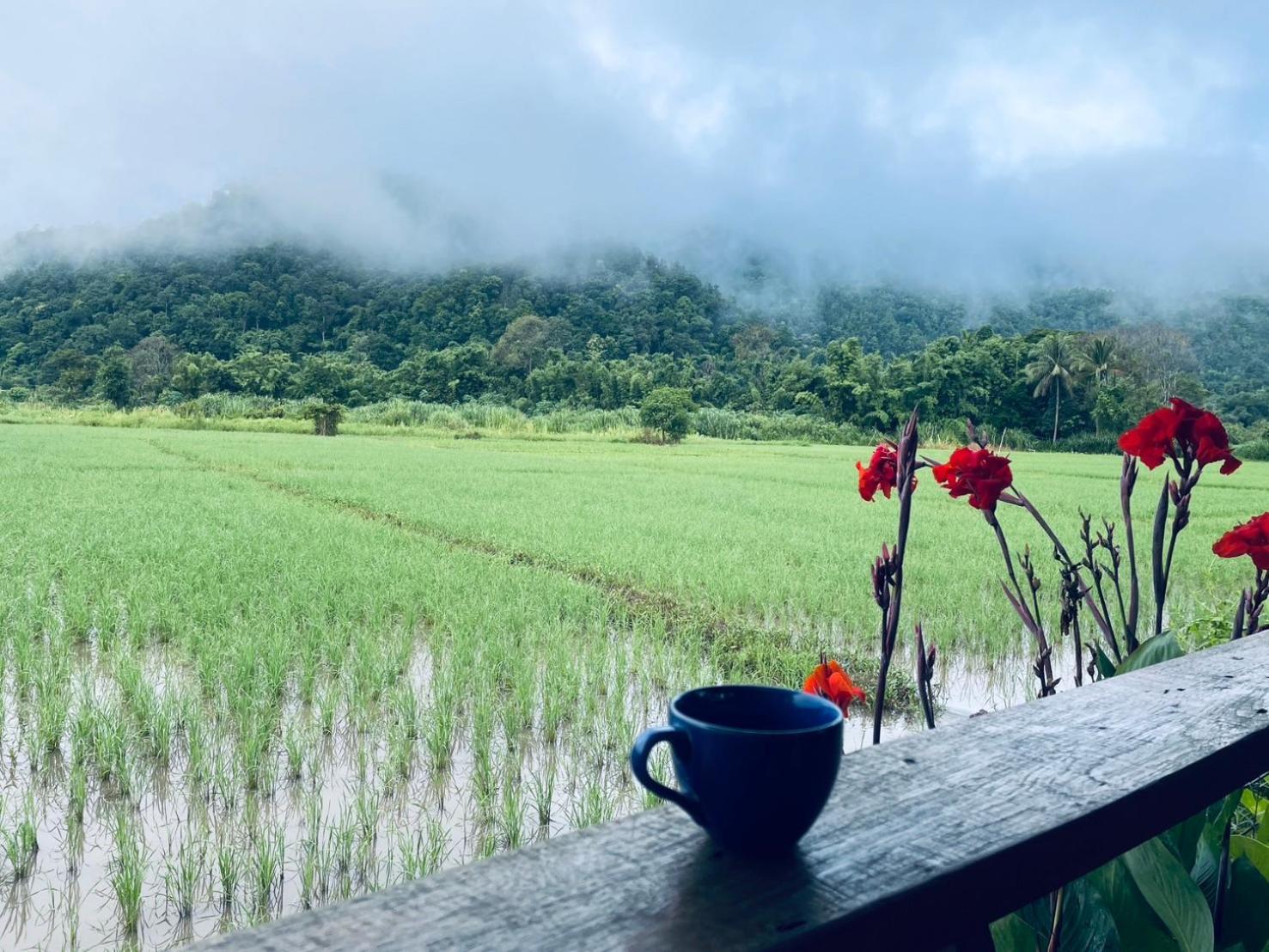 บ้านสวนวิวทุ่ง Ban Mae Sap Nua Экстерьер фото