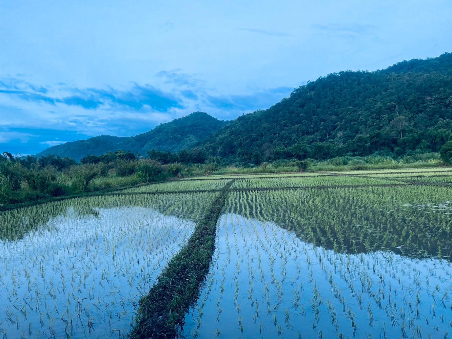 บ้านสวนวิวทุ่ง Ban Mae Sap Nua Экстерьер фото