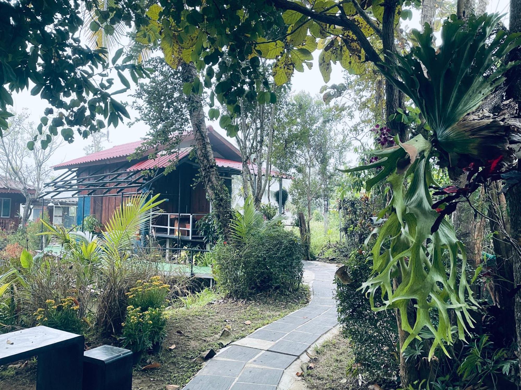 บ้านสวนวิวทุ่ง Ban Mae Sap Nua Экстерьер фото